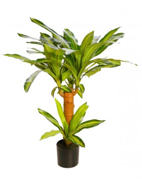 DRACENA ARTIFICIAL EN MACETA 80CM