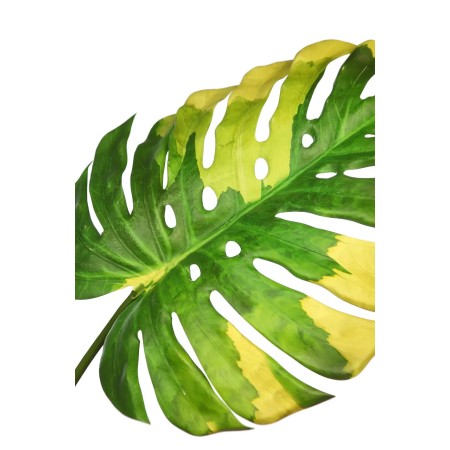 HOJA MONSTERA GIGANTE ARTIFICIAL 110CM