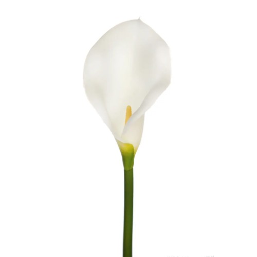 VARA CALA ARTIFICIAL 48CM 2