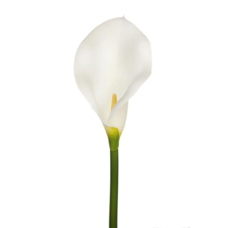 VARA CALA ARTIFICIAL 48CM