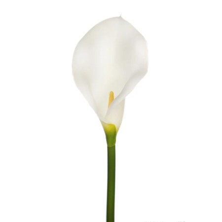 VARA CALA ARTIFICIAL 48CM