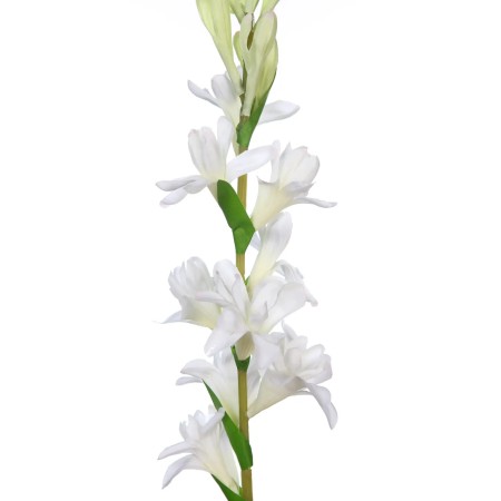 VARA DE NARDO ARTIFICIAL 67CM