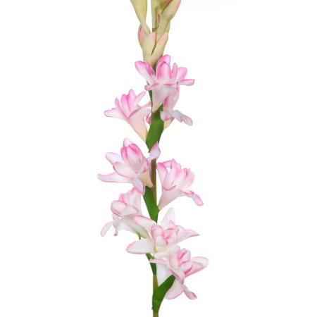VARA DE NARDO ARTIFICIAL 67CM