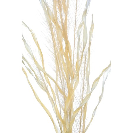 VARA DE PAMPA ARTIFICIAL 95CM