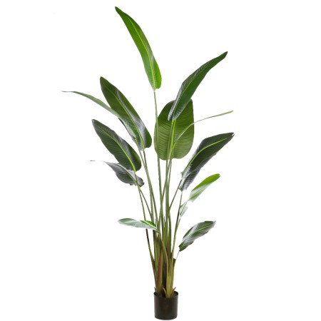 BANANERA EN MACETA ARTIFICIAL 200CM