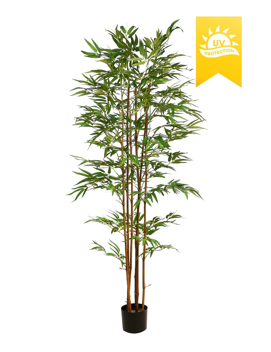 ARBOL DE BAMBU CON TRATAMIENTO UV 180CM