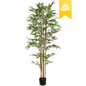 ARBOL DE BAMBU CON TRATAMIENTO UV 180CM