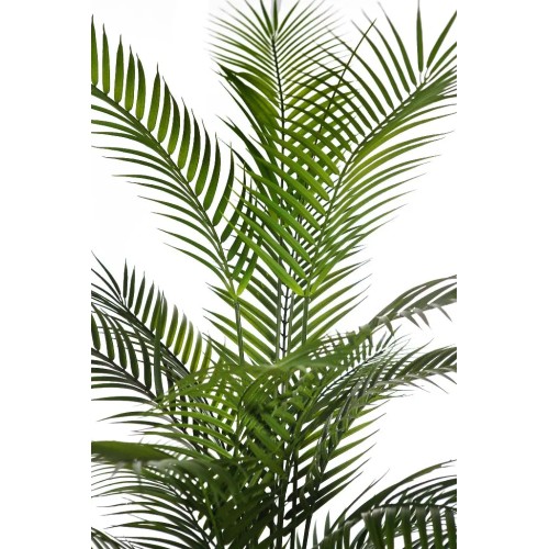 ARECA ARTIFICIAL EN MACETA UV 170CM 2