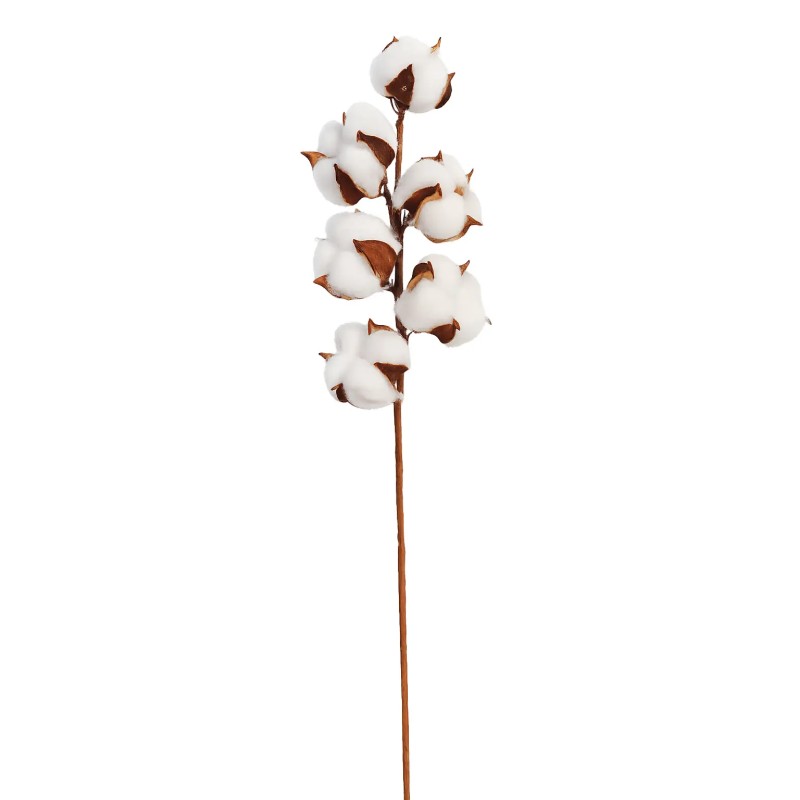 VARA ALGODON  54CM