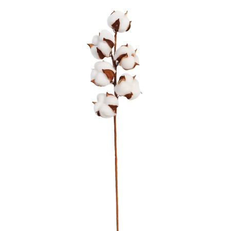 VARA ALGODON  54CM