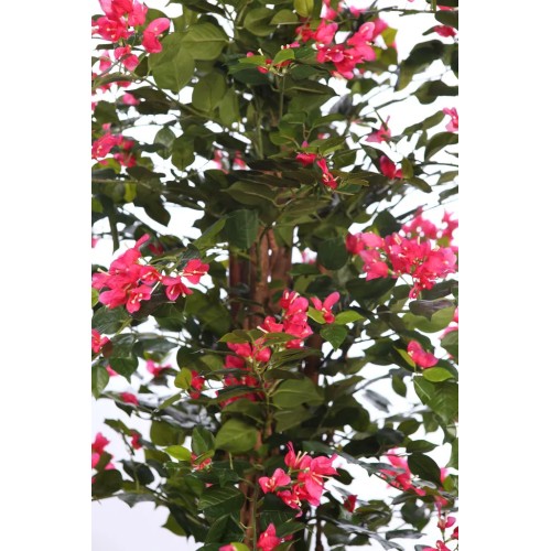 ARBOL DE BUGANVILLA ARTIFICIAL 190CM 2