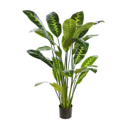 DIFEMBACHIA ARTIFICIAL EN MACETA 120CM