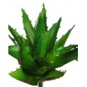 AGAVE ARTIFICIAL MINI 13CM