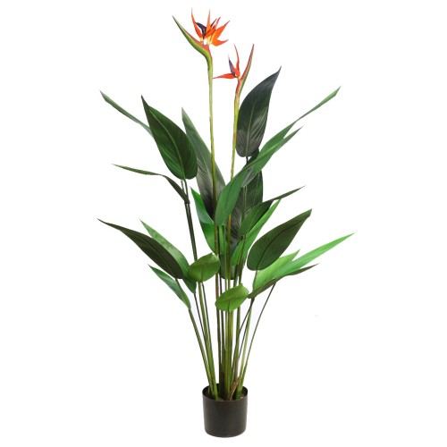 PLANTA DE ESTERLICIA ARTIFICIAL 135CM
