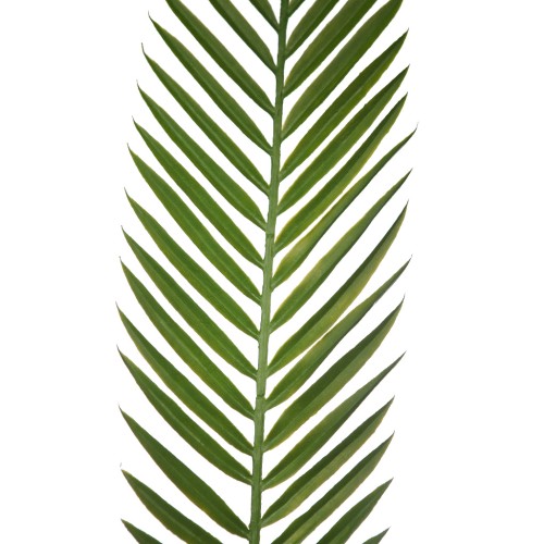 HOJA PALMERA ARTIFICIAL 95CM 2