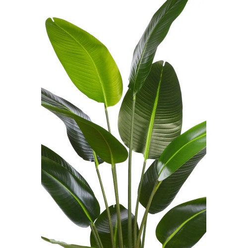 BANANERA ARTIFICIAL 180CM 2