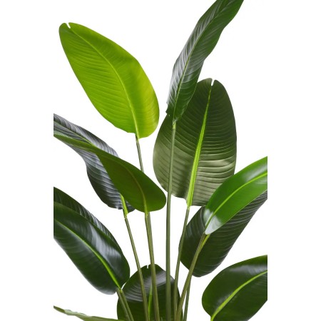 BANANERA ARTIFICIAL 180CM