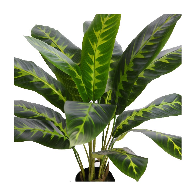 PLANTA DIFEMBACHIA ARTIFICIAL 70CM