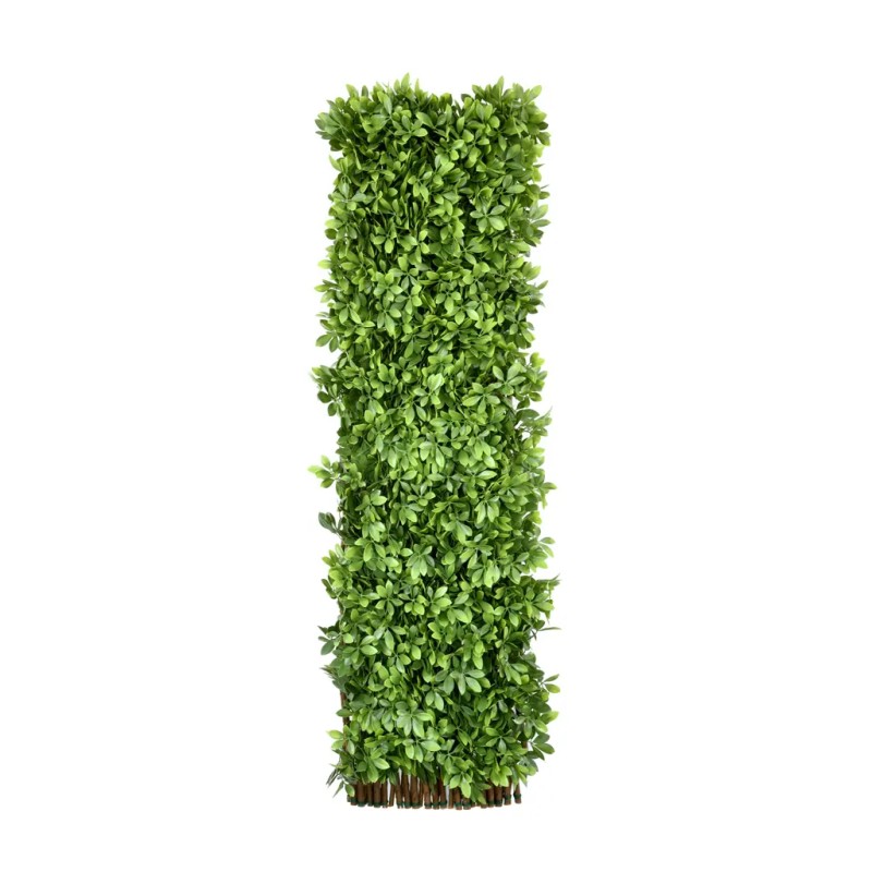 CELOSIA CHEFLERA ARTIFICIAL UV 110CM