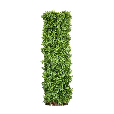 CELOSIA CHEFLERA ARTIFICIAL UV 110CM