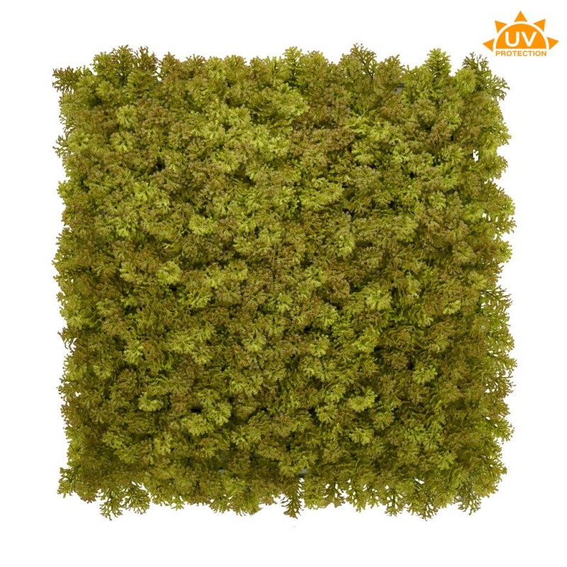 JARDIN LIQUENES 50X50CM