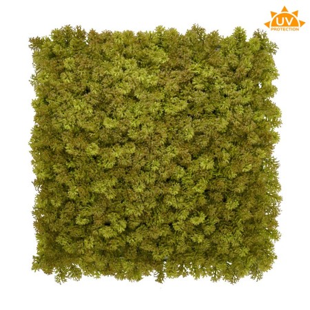 JARDIN LIQUENES 50X50CM