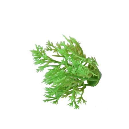 PLACA MUSGO ARTIFICIAL 100CM X 100CM