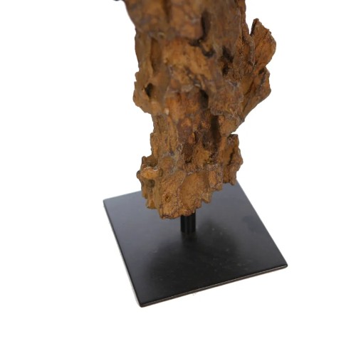 TRONCO FOSIL CON BASE 91CM CON TARA 2