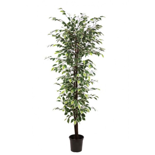 FICUS ARTIFICIAL CON MACETA 175CM