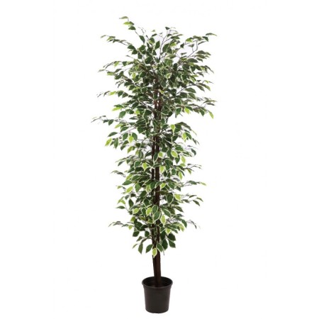 FICUS ARTIFICIAL CON MACETA 175CM