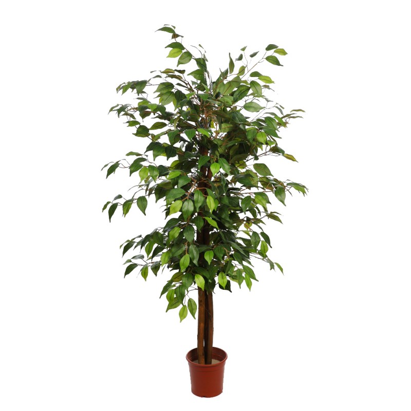 FICUS ARTIFICIAL CON MACETA 175CM
