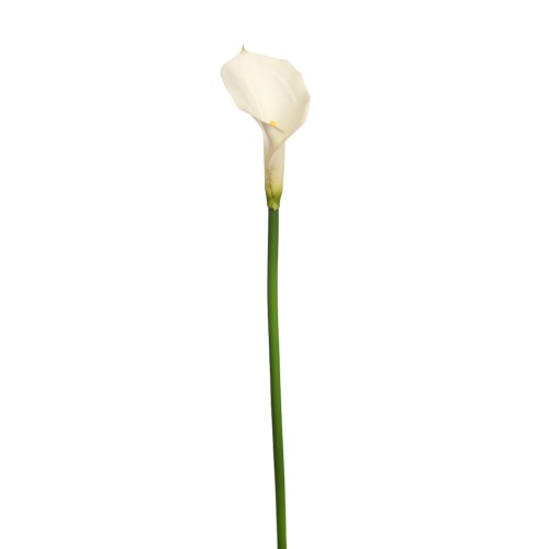 FLOR DE CALA ARTIFICIAL 70CM