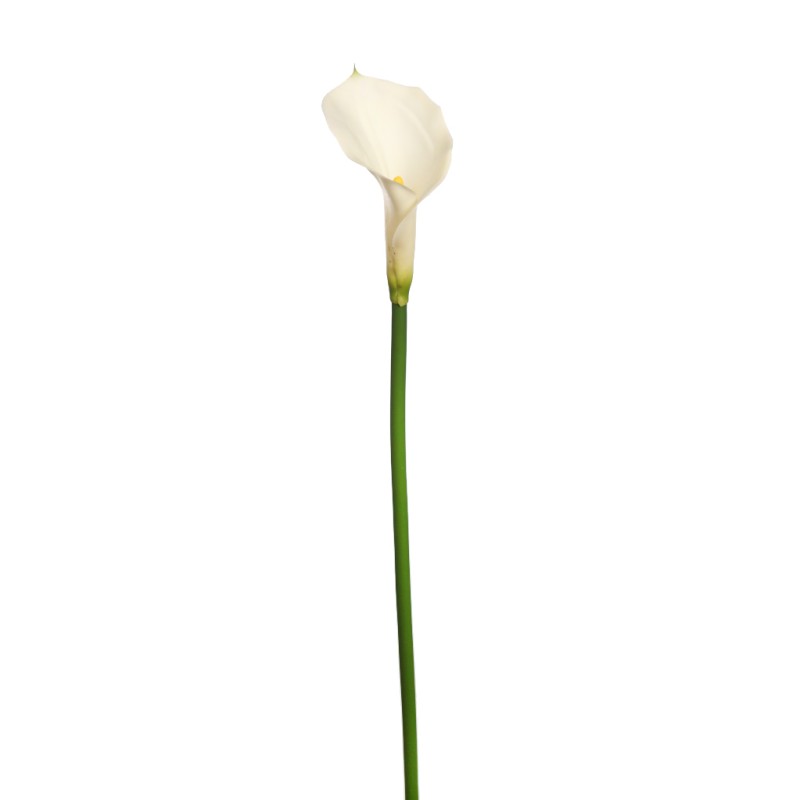 FLOR DE CALA ARTIFICIAL 70CM