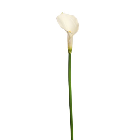 FLOR DE CALA ARTIFICIAL 70CM