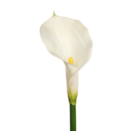 FLOR DE CALA ARTIFICIAL 70CM