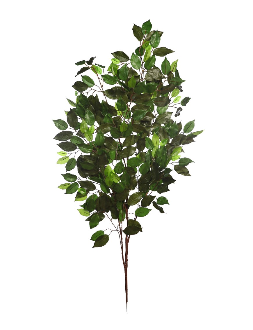 RAMA FICUS GIGANTE 120CM