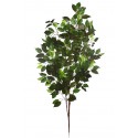 RAMA FICUS GIGANTE 120CM