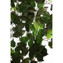 RAMA FICUS GIGANTE 120CM