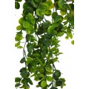 MATA DICHONDRA ARTIFICIAL COLGANTE 65CM