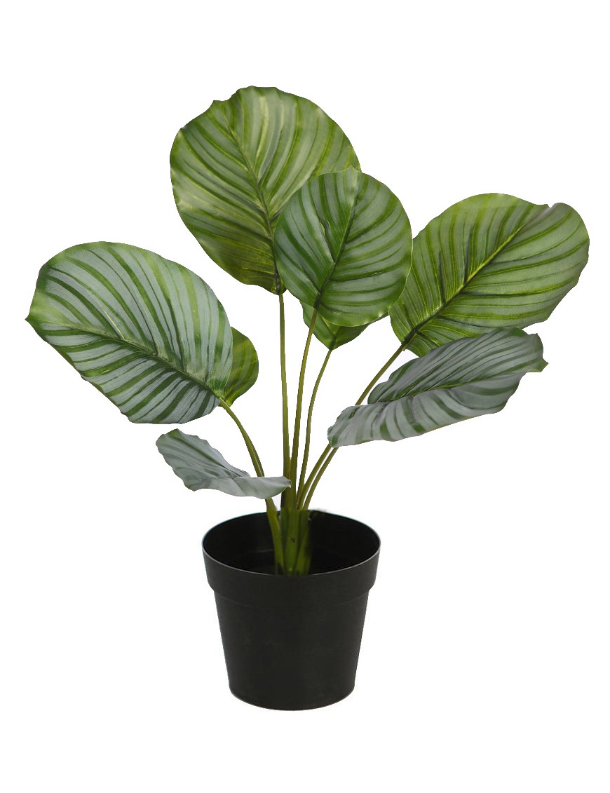 CALATHEA EN MACETA ARTIFICIAL 36CM