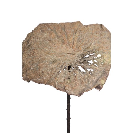 HOJA DE LOTO VINTAGE GIGANTE 97CM
