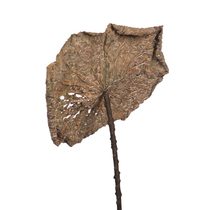 HOJA DE LOTO VINTAGE GIGANTE 97CM