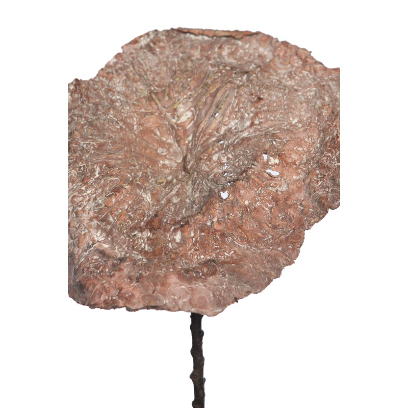 HOJA DE LOTO VINTAGE GIGANTE 97CM