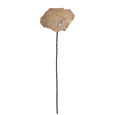 HOJA DE LOTO VINTAGE GIGANTE 97CM