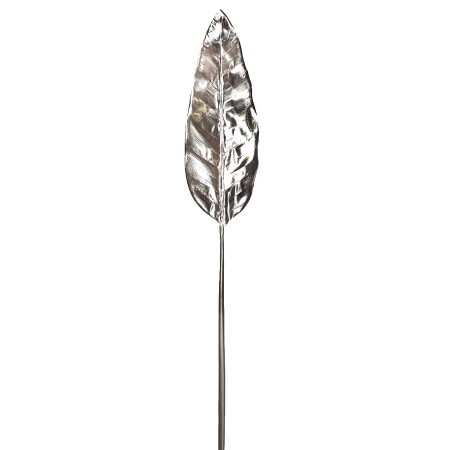 HOJA DRACENA PLATA 88CM