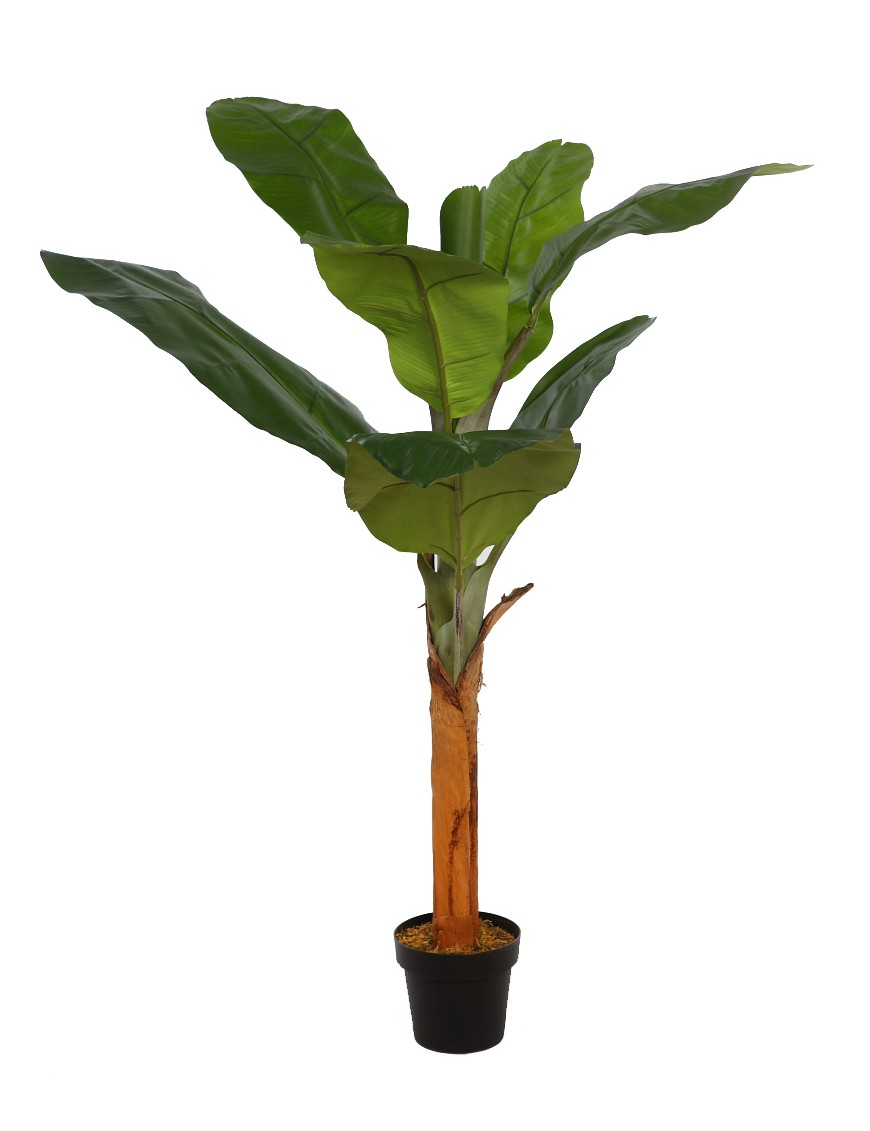 PLANTANERA ARTIFICIAL 150CM