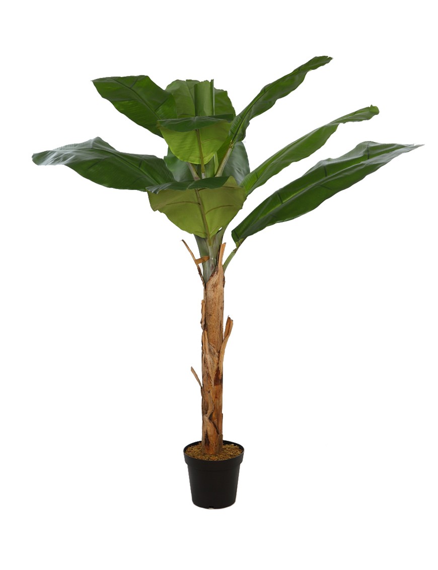 PLANTANERA ARTIFICIAL 165CM