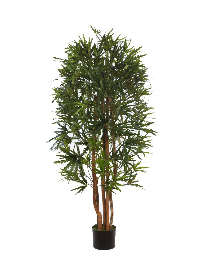 PLANTA ARALIA ARTIFICIAL 160CM