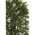 PLANTA ARALIA ARTIFICIAL 160CM