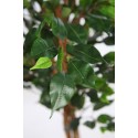 ARBOL DE FICUS ARTIFICIAL 180CM